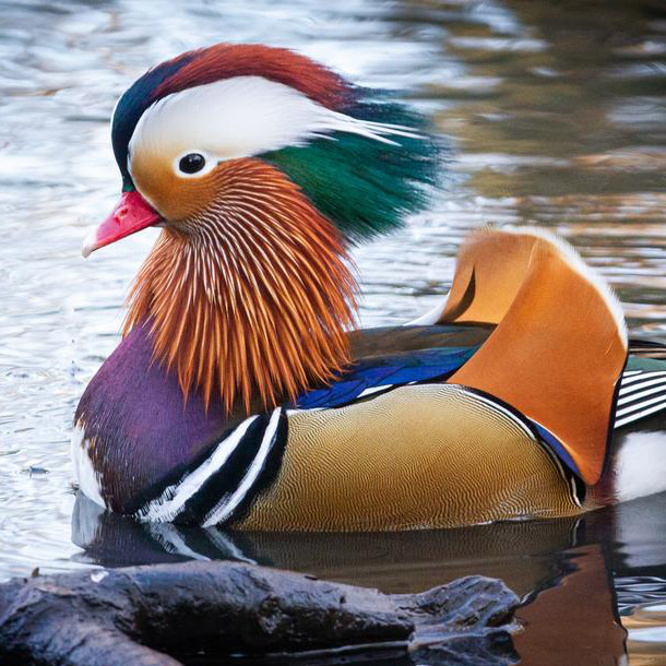 allow_in_place_tablespaces