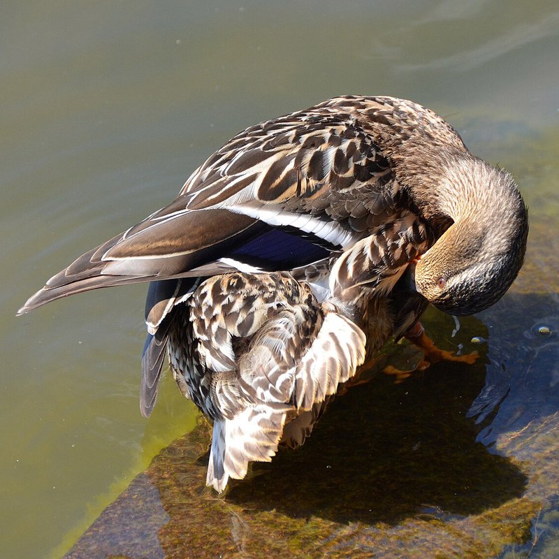 All your GUCs in a Row: archive_cleanup_command